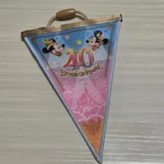 ディズニーランド 40周年 ドリームガーランド