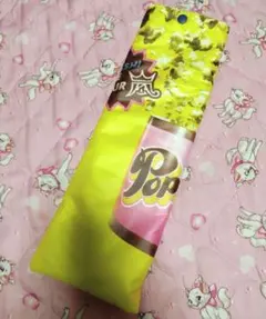 We are ARASHI ペンライトケース