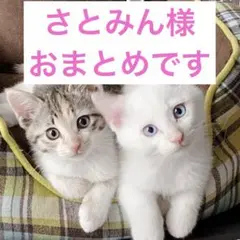 さとみん様 リクエスト 2点 まとめ商品