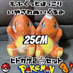 ポケットモンスター もふぐっといやされぬいぐるみ ヒトカゲ 2点セット