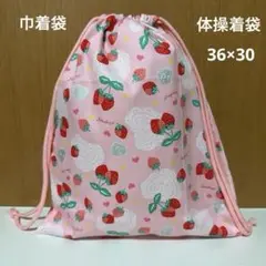 No.1096 体操着袋　巾着袋　いちご柄