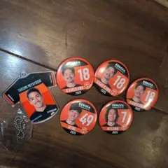 2025シーズン レノファ山口FC 缶バッジセット