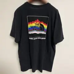 THE NORTH FACE ノースフェイス カラフルTシャツ XL