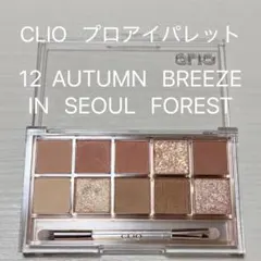 CLIO プロアイパレット 12 AUTUMN BREEZEのサムネイル