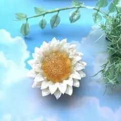 オルゴナイト デイジーフラワー ムーンストーン シトリン - メルカリ