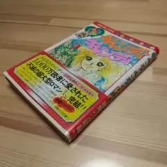 2025年最新】キャンディキャンディ いがらしゆみこの人気アイテム