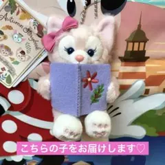 TDS オータムストーリーブック　リーナベル　ぬいぐるみチャーム　③