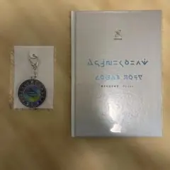 【新品未使用】PokemonLegendsZA ARTBook キーホルダー