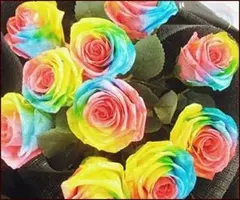 Item thumbnail for item 0f39b7b5-9f4d-4a25-ad81-0012334ced6c