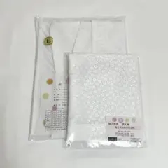 Item thumbnail for item 9a140f27-7d14-4d37-8910-0445f7ab60b3