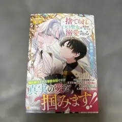 初版 帯付き 新品』立ち飲みご令嬢 7巻 松本明澄 - メルカリ