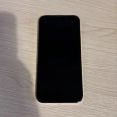 【Luat Nguyen様専用】iPhone13ProMax256GBゴールド