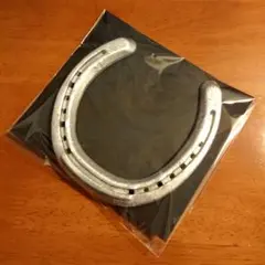 【本物の蹄鉄】馬蹄