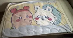 치이카와 マイヤーブランケット 모모가 헌책방 カニちゃん ブランケット