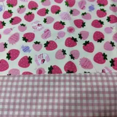 なな様 リクエスト専用ページ 保冷保温のお弁当巾着袋