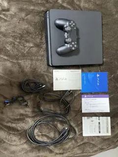 PlayStation4 本体 CUH-2200A B01 500GB