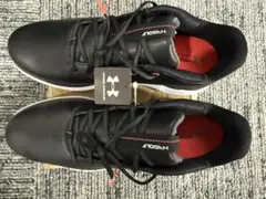 2026年最新】UNDER ARMOUR ゴルフ シューズ(男性用)の人気アイテム