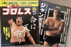 週刊プロレス No.979 6/6週刊ゴング増刊号　ジャンボ鶴田追悼　2冊セット