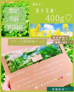 ❤️Chama様専用✨菜の花400g!栽培期間中農薬不使用❤️