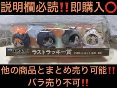 ハイキュー セガラッキーくじ ラストラッキー賞 マスコットセット 烏野 音駒