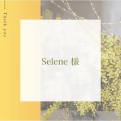 Selene(セレーネ)様 リクエスト 4点 まとめ商品