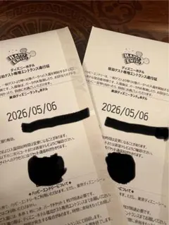 ディズニーランド　ハッピーエントリー　5月6日のサムネイル