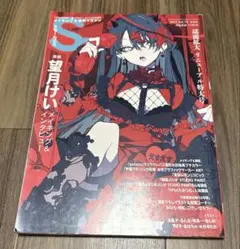 37冊セット　SS スモールエス メイキング＆投稿マガジン 2007～2021年 SS（スモールエス）のバックナンバー (15件表示) | 雑誌/電子