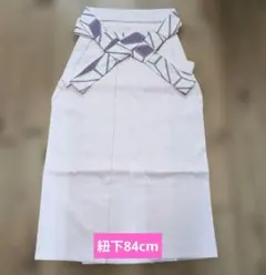 Item thumbnail for item 29d824c7-71e4-4b1a-bc7a-5befa8fe71a0