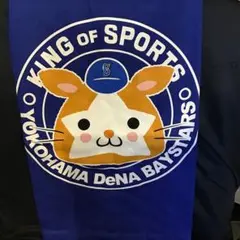 横浜DeNAベイスターズ Tシャツ XXL