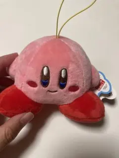 ピカチュウ様 リクエスト 2点 まとめ商品