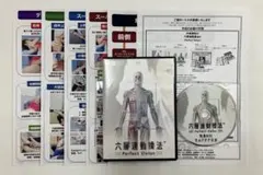 六層連動操法 Perfect Vision DVD 沖倉国悦