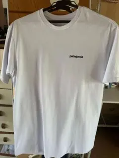 patagonia オーガニックコットン Tシャツ M