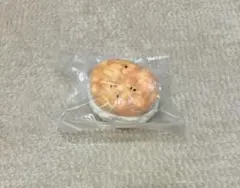 Kikisquishy スクイーズ ビスケットサンド 粉付き Mサイズ