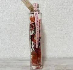 식물 표본관 어버이날 선물