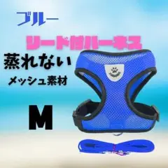 Item thumbnail for item 5c0e083a-b021-4fa6-9053-55880d04cd97