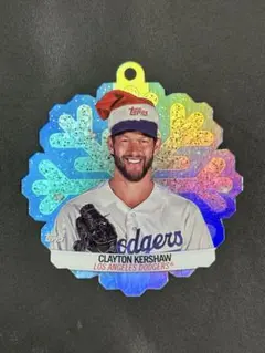 プロフ必読 kao31様 リクエスト 2点 まとめ商品