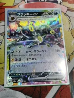 あみすけ＠うちにねこがいます。様 リクエスト 2点 まとめ商品