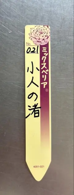 紅手鞠 札のみ ミックスベリア おらいさん苗 多肉植物 - メルカリ