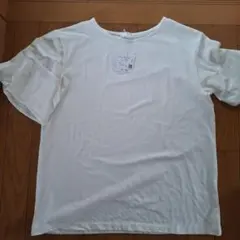 Honeys　半袖 Tシャツ ホワイト Lサイズのサムネイル