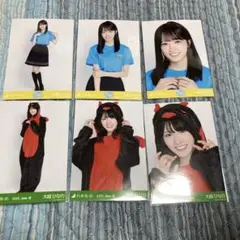 大越ひなの 真夏の全国ツアー2026 ツアーTシャツ 恐竜 福井 6種 - メルカリ