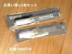 TM NETWORK QUANTUM ペンライト2本セット新品同様★送料込み m55918603701_1.jpg?1768613274