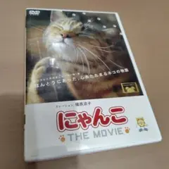 にゃんこ THE MOVIE 篠原涼子 フジテレビ めざまし ムービー第1弾