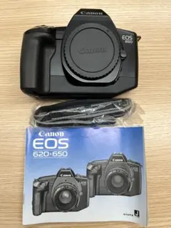 ショット数わずか1450回！！✨Canon EOS 60D✨レンズ交換不要✨遠近