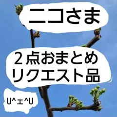 ニコ様 リクエスト 2点 まとめ商品
