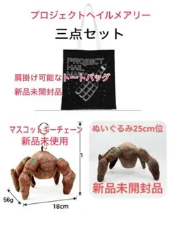 日本未発売] プロジェクト・ヘイル・メアリー メタルバッジ 4個セット