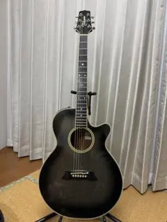 Takamine NPT-108 GBS アコースティックギター 本体のサムネイル
