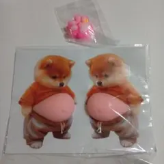 柴犬　ぷにぷに　スクイーズ　お腹　ぽっこり　肉球　ステッカー　シリコン