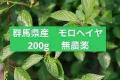 モロヘイヤ　ネコポス　200g 農薬不使用　群馬県産のサムネイル
