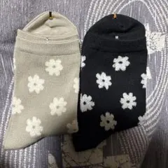 靴下屋 Tabio レディース　2足セット