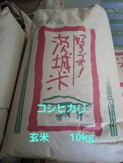 天日干しコシヒカリ （胚芽付7分擦り )10kg 長野県産 令和7年秋 送料込